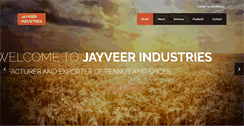 Desktop Screenshot of jayveerindustries.com